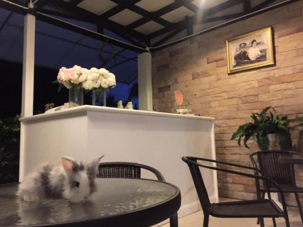 V Valley Resort Satun Εξωτερικό φωτογραφία