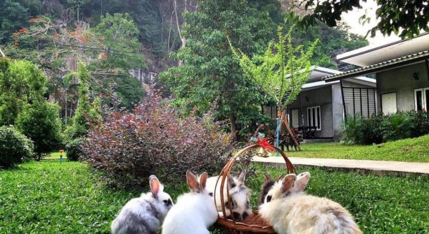 V Valley Resort Satun Εξωτερικό φωτογραφία